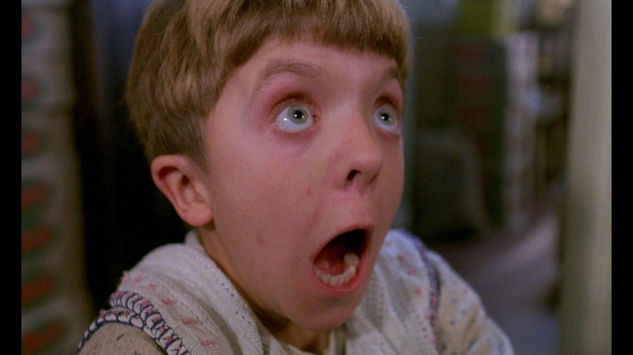 Screen capture from The Tin Drum