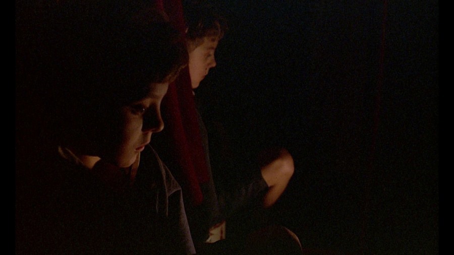 Screen capture from The Tin Drum