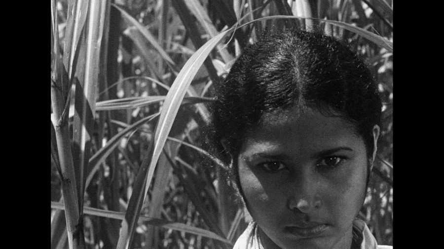 Screen capture from Martin Scorsese’s World Cinema Project No. 1