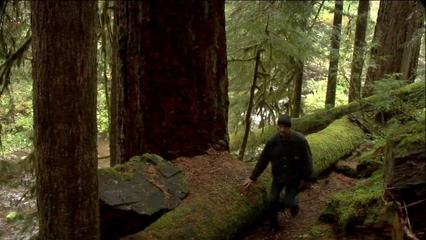 Screen capture from If A Tree Falls: A Story of the Earth Liberation Front