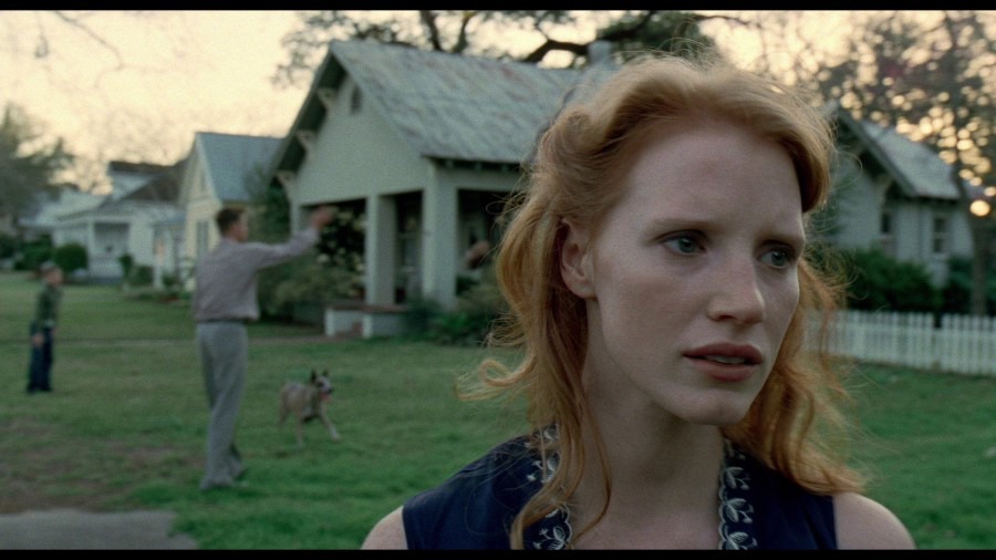 Screen capture from The Tree of Life