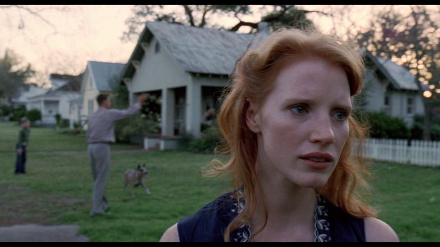 Screen capture from The Tree of Life