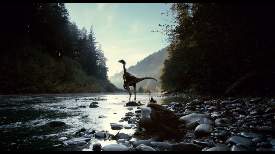 Screen capture from The Tree of Life