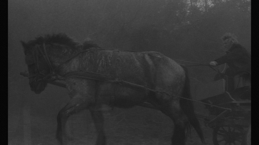 Screen capture from The Turin Horse