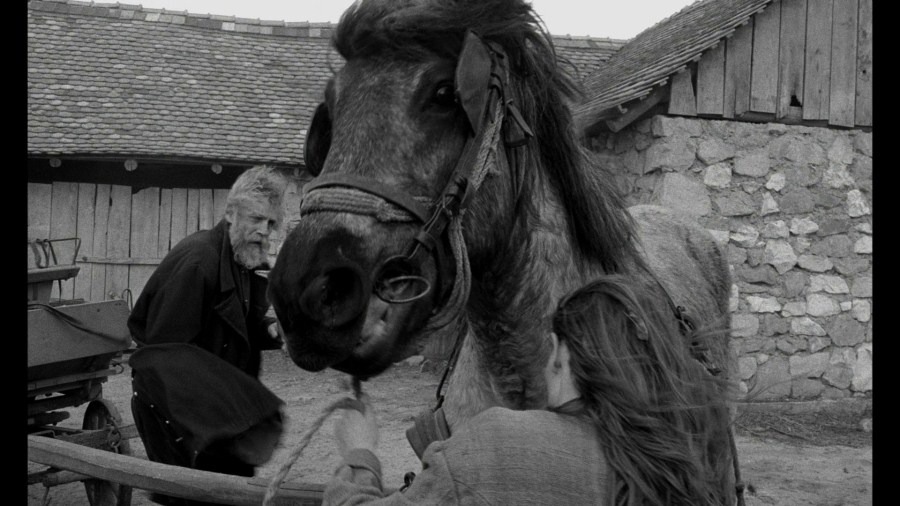 Screen capture from The Turin Horse