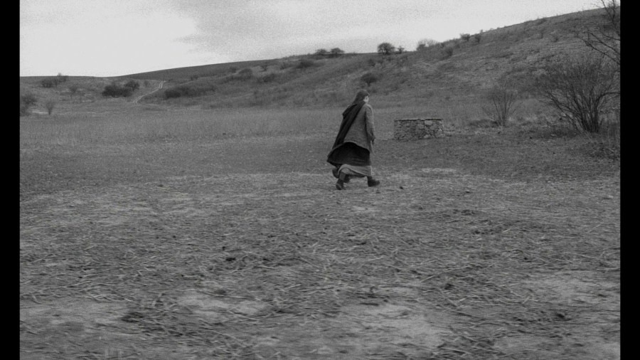 Screen capture from The Turin Horse