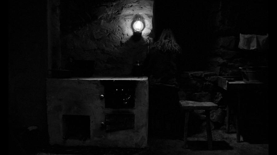 Screen capture from The Turin Horse
