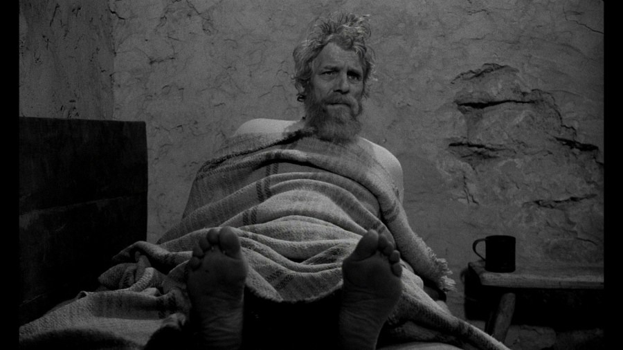 Screen capture from The Turin Horse