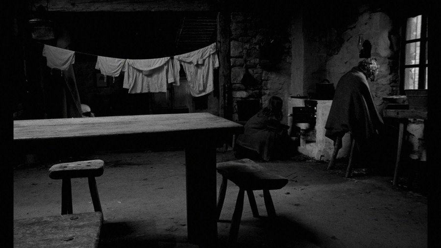 Screen capture from The Turin Horse