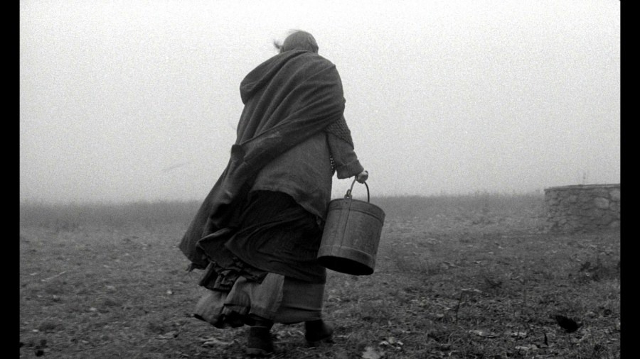 Screen capture from The Turin Horse
