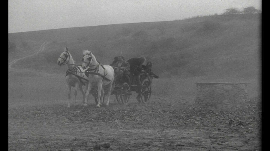 Screen capture from The Turin Horse