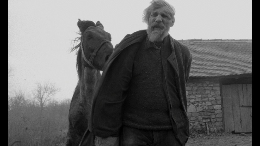 Screen capture from The Turin Horse