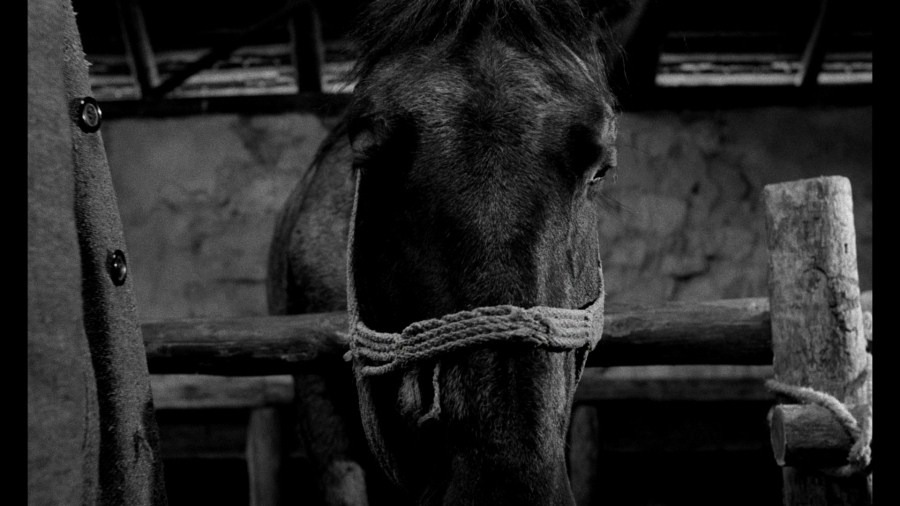 Screen capture from The Turin Horse
