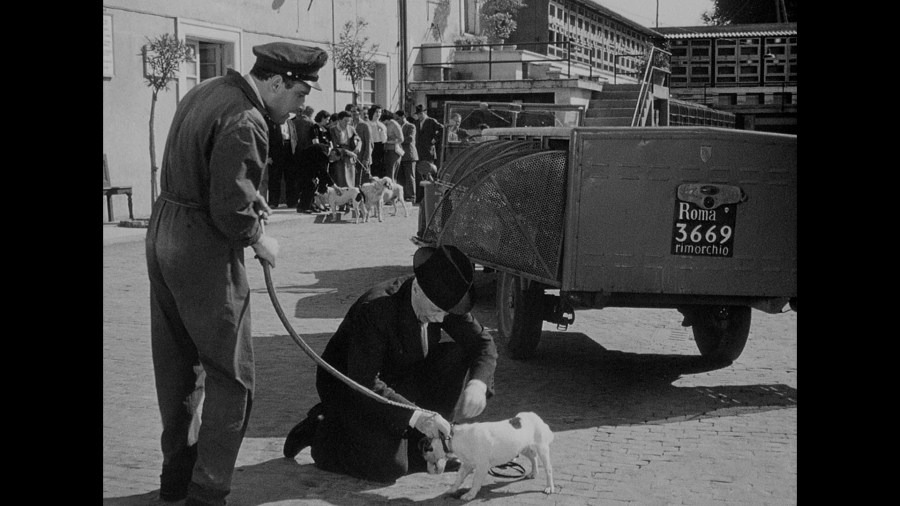 Screen capture from Umberto D.