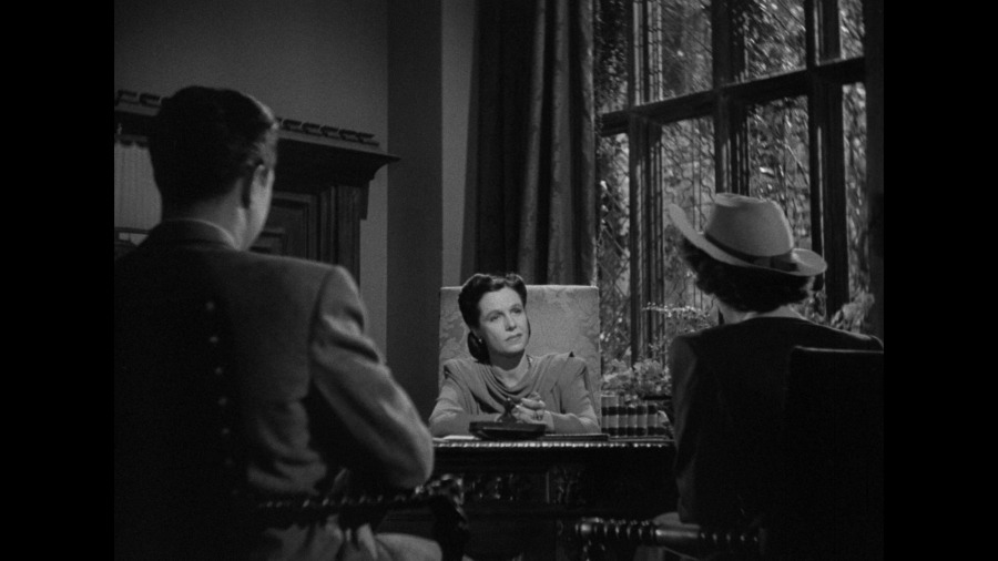 Screen capture from The Univited