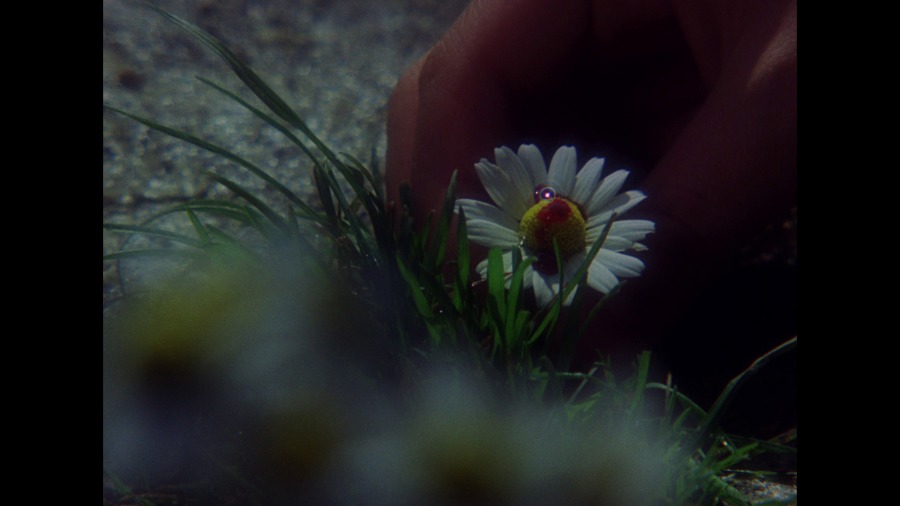 Screen capture from Valerie and Her Week of Wonders
