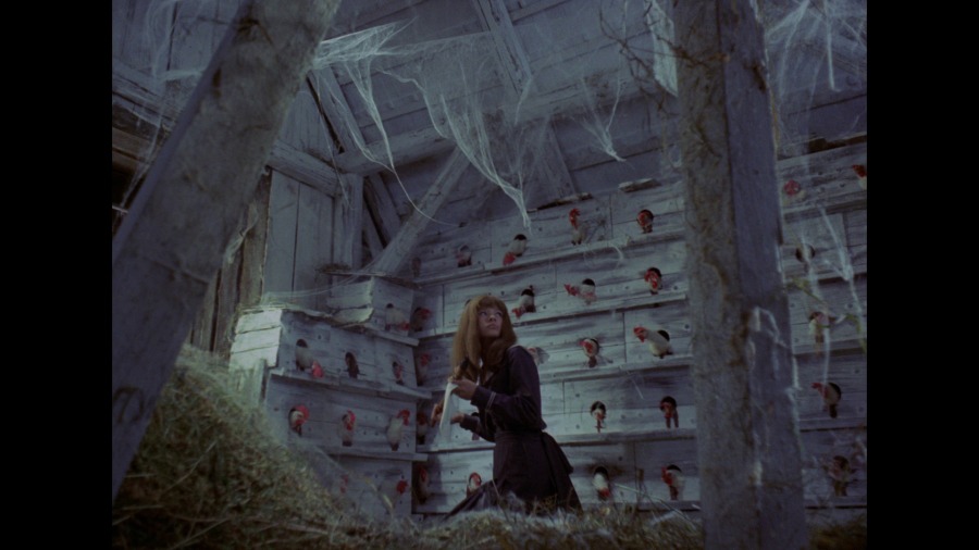 Screen capture from Valerie and Her Week of Wonders