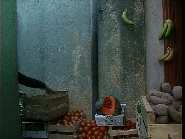 Screen capture from In Vanda's Room
