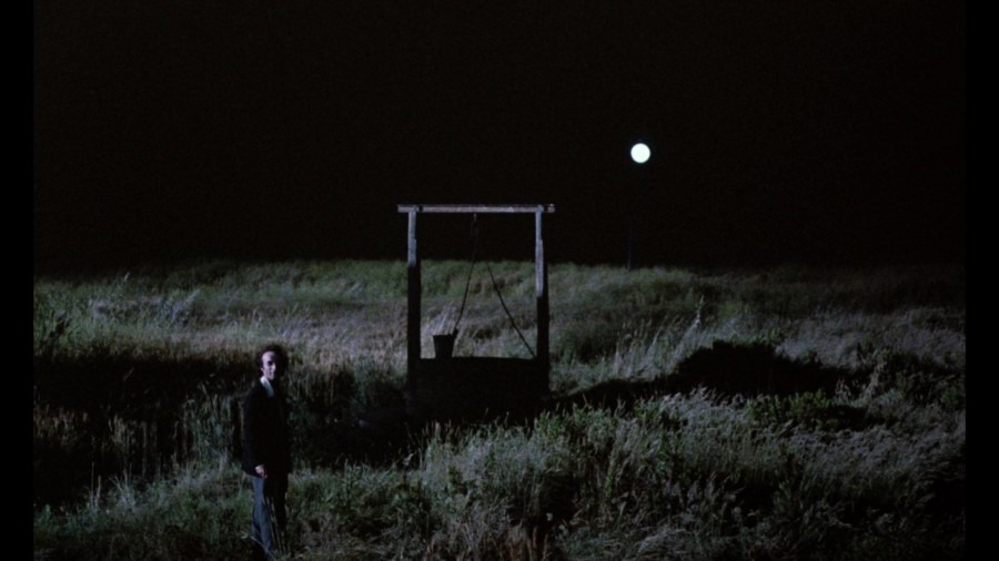 Screen capture from The Voice of the Moon