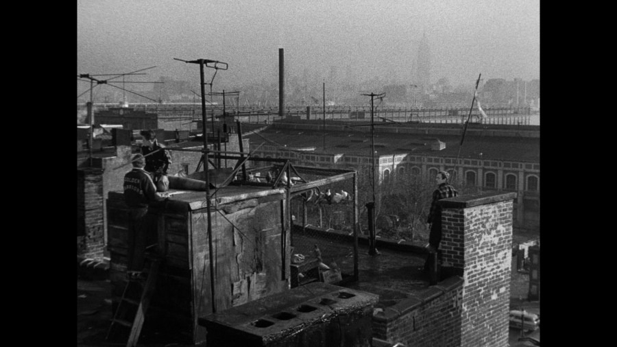 Screen capture from On the Waterfront