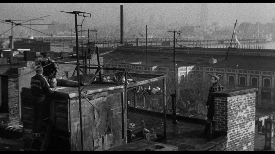 Screen capture from On the Waterfront
