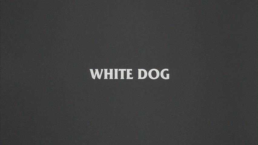 Screen capture from White Dog
