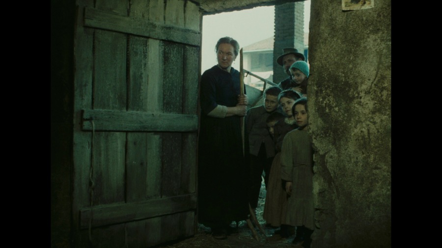 Screen capture from The Tree of Wooden Clogs
