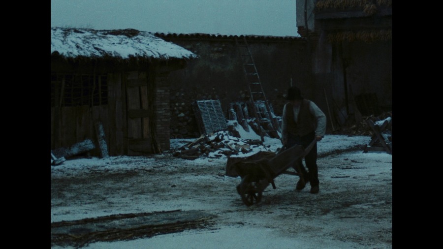 Screen capture from The Tree of Wooden Clogs