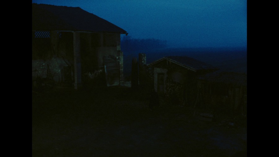 Screen capture from The Tree of Wooden Clogs