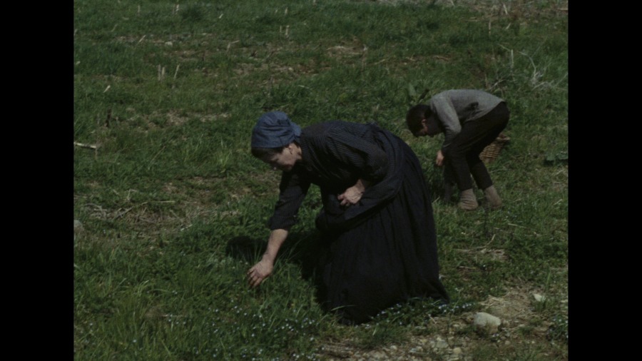 Screen capture from The Tree of Wooden Clogs