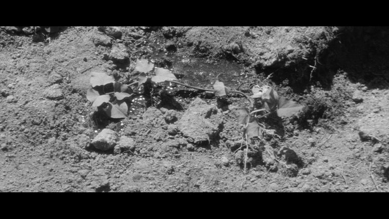 Screen capture from The Naked Island