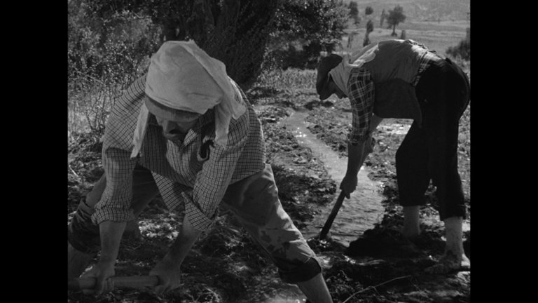 Screen capture from A River Called Titas / Dry Summer