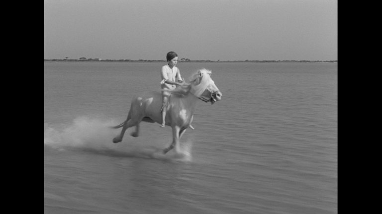 Screen capture from The Red Balloon and Other Stories: Five Films by Albert Lamorisse