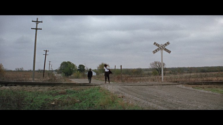 Screen capture from The Learning Tree