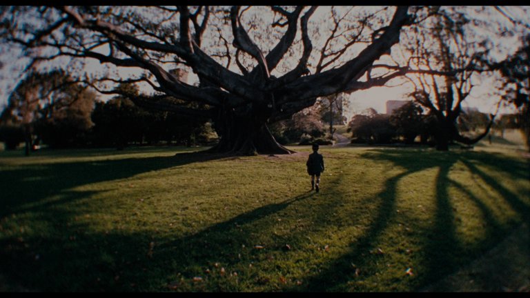 Screen capture from Walkabout