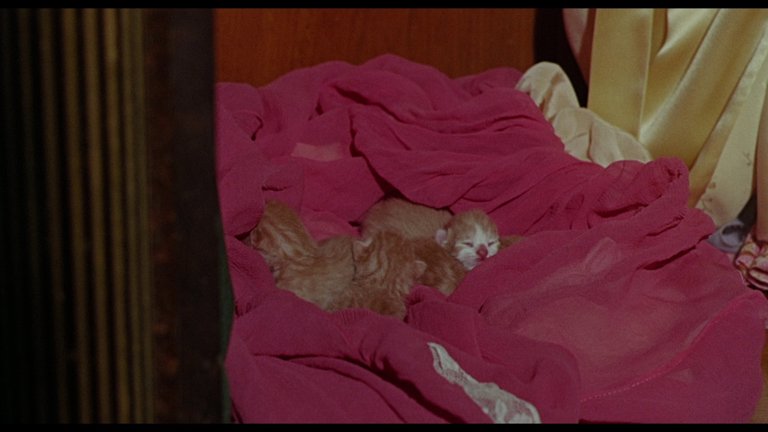 Screen capture from Eye of the Cat