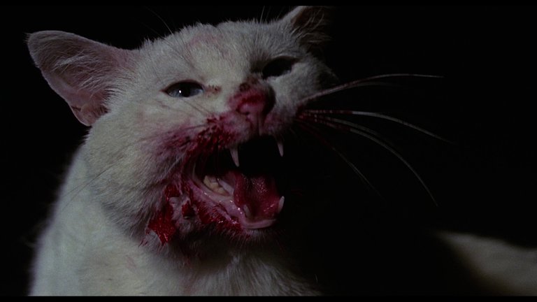 Screen capture from Eye of the Cat
