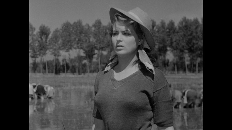 Screen capture from Bitter Rice