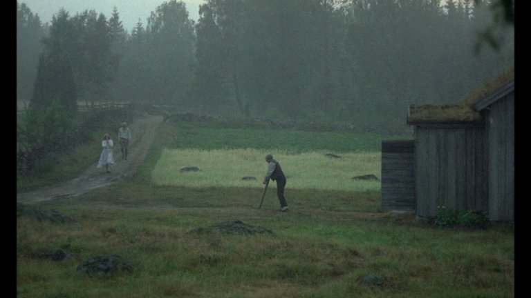 Screen capture from The Emigrants • The New Land