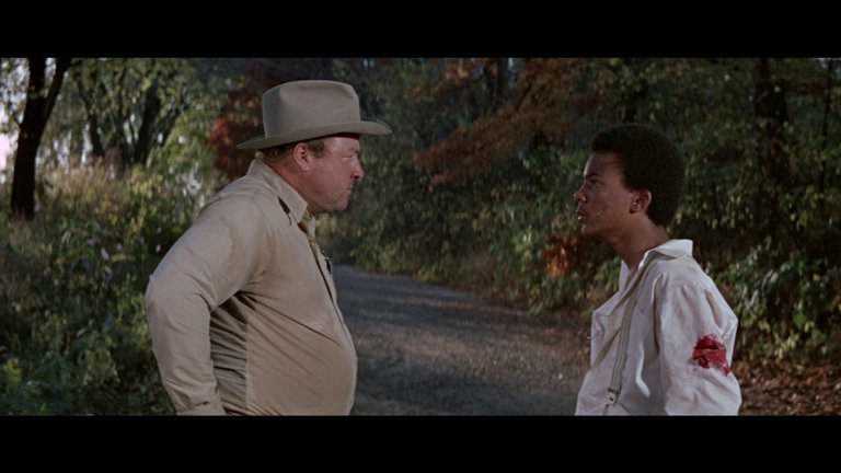 Screen capture from The Learning Tree