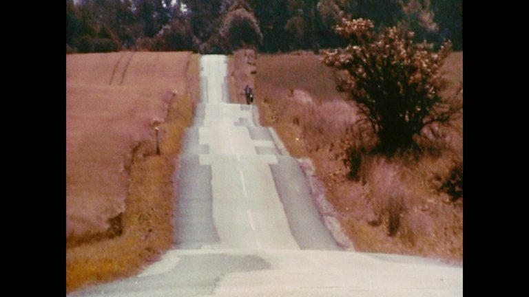 Screen capture from The Celebration