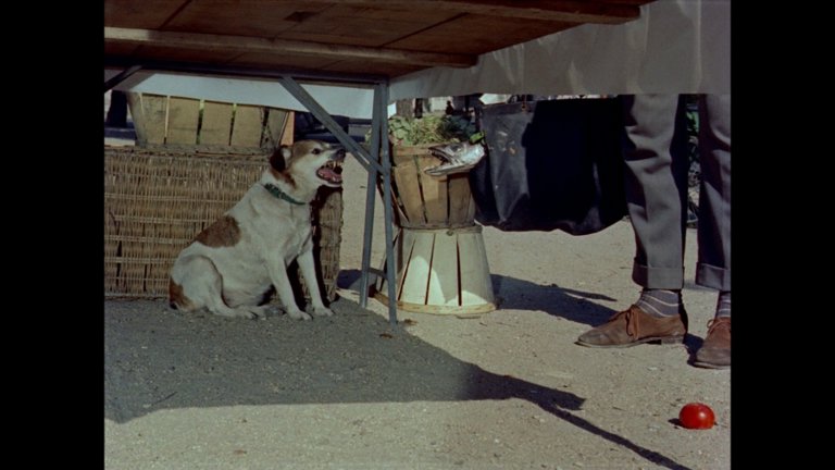 Screen capture from Mon oncle