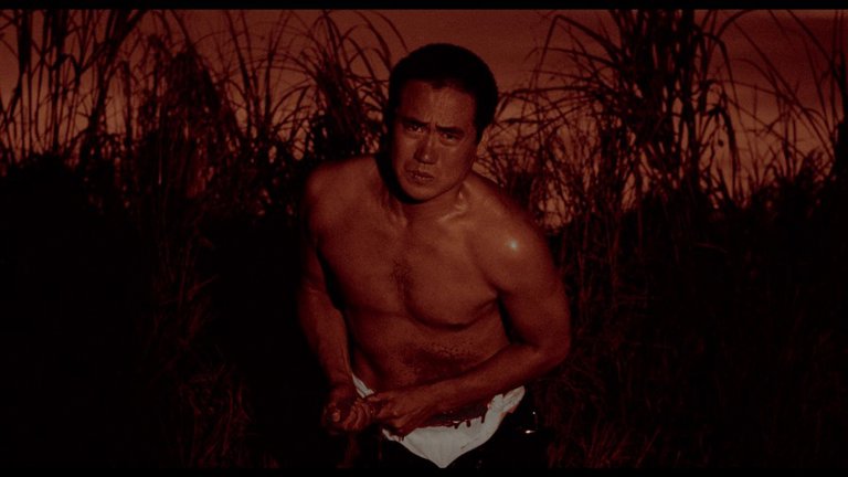Screen capture from Mishima: A Life in Four Chapters