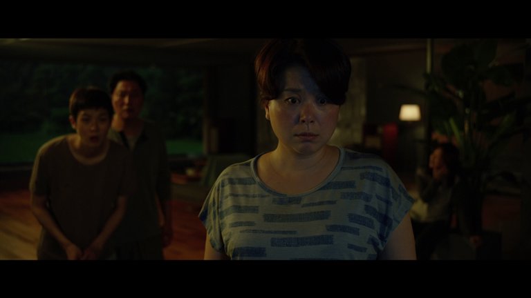Screen capture from Parasite