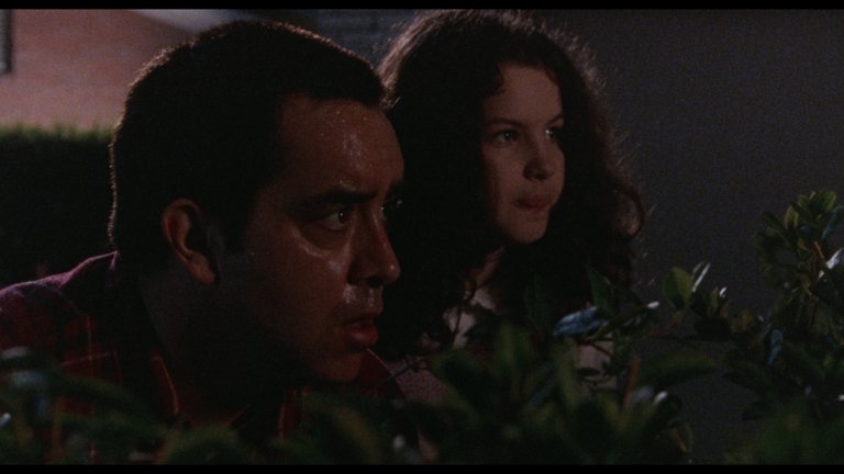 Screen capture from Palindromes
