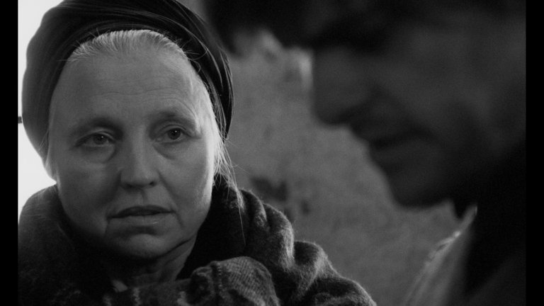 Screen capture from Werckmeister Harmonies
