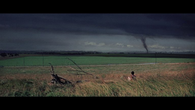 Screen capture from The Learning Tree