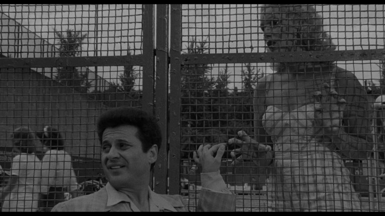 Screen capture from Raging Bull