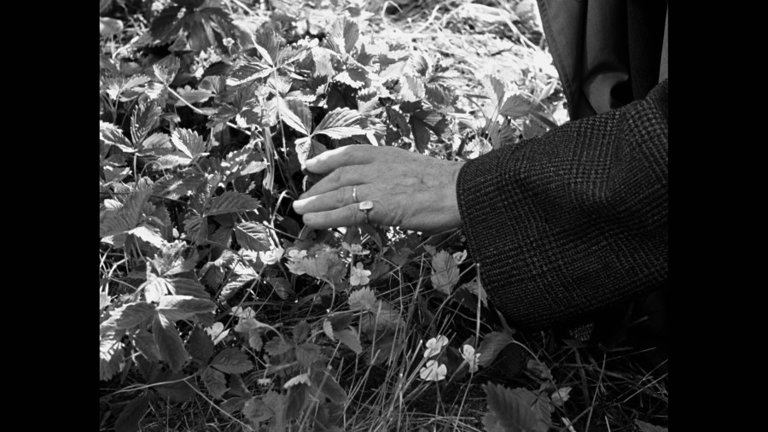 Screen capture from Ingmar Bergman’s Cinema