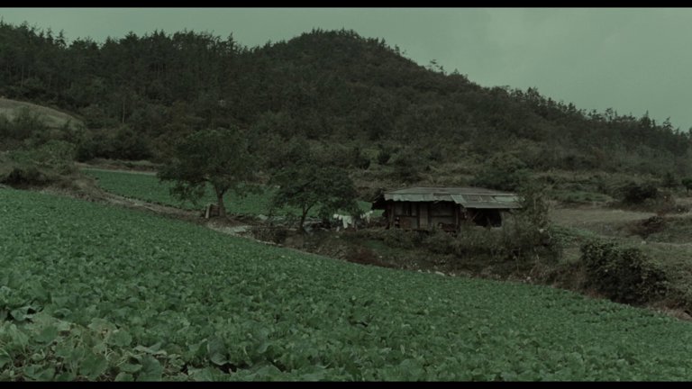 Screen capture from Memories of Murder